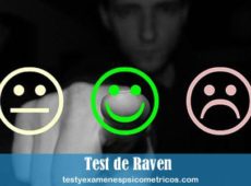 Test de raven