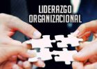 Liderazgo organizacional