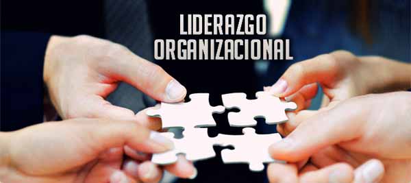 Liderazgo organizacional